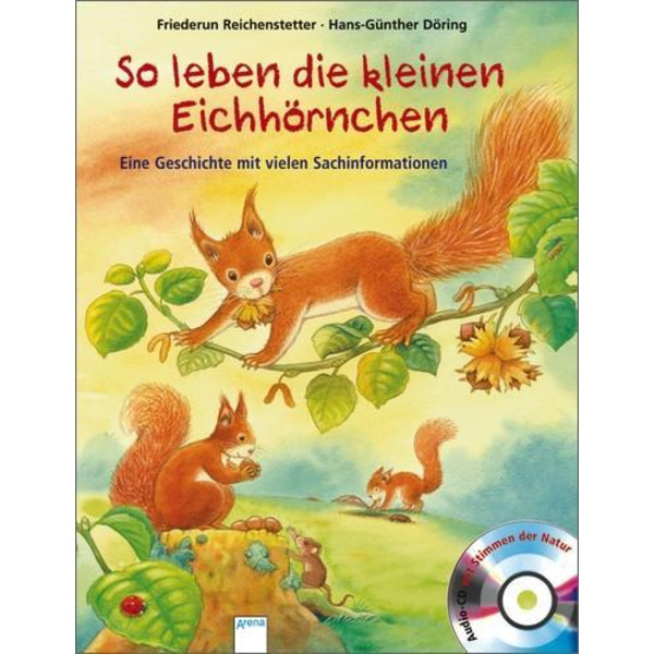 So leben die kleinen Eichhörnchen Kinderbuch ARENA VERLAG GMBH