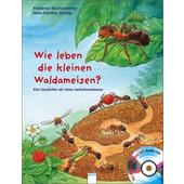  Wie leben die kleinen Waldameisen?  - Kinderbuch