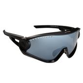 Alpina 5W1NG CM+  - Sportbrille