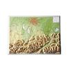  Reliefkarte Bayerisches Oberland 1 : 400.000 - Karte - NOPUBLISHER